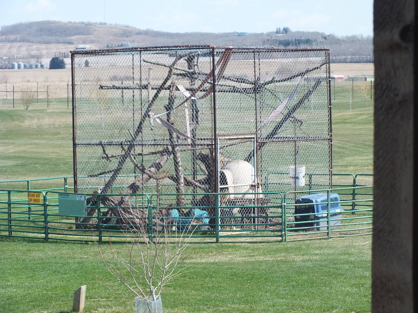 Discovery Wildlife Park-Raccoon Enclosure