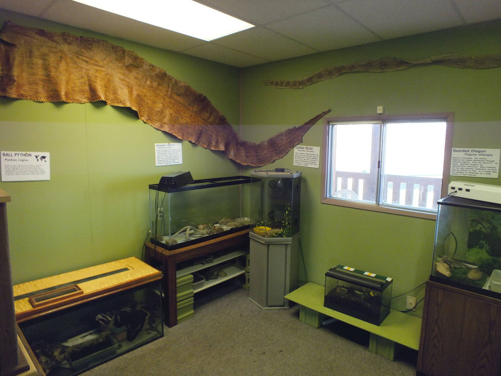 Discovery Wildlife Park-Reptile Room