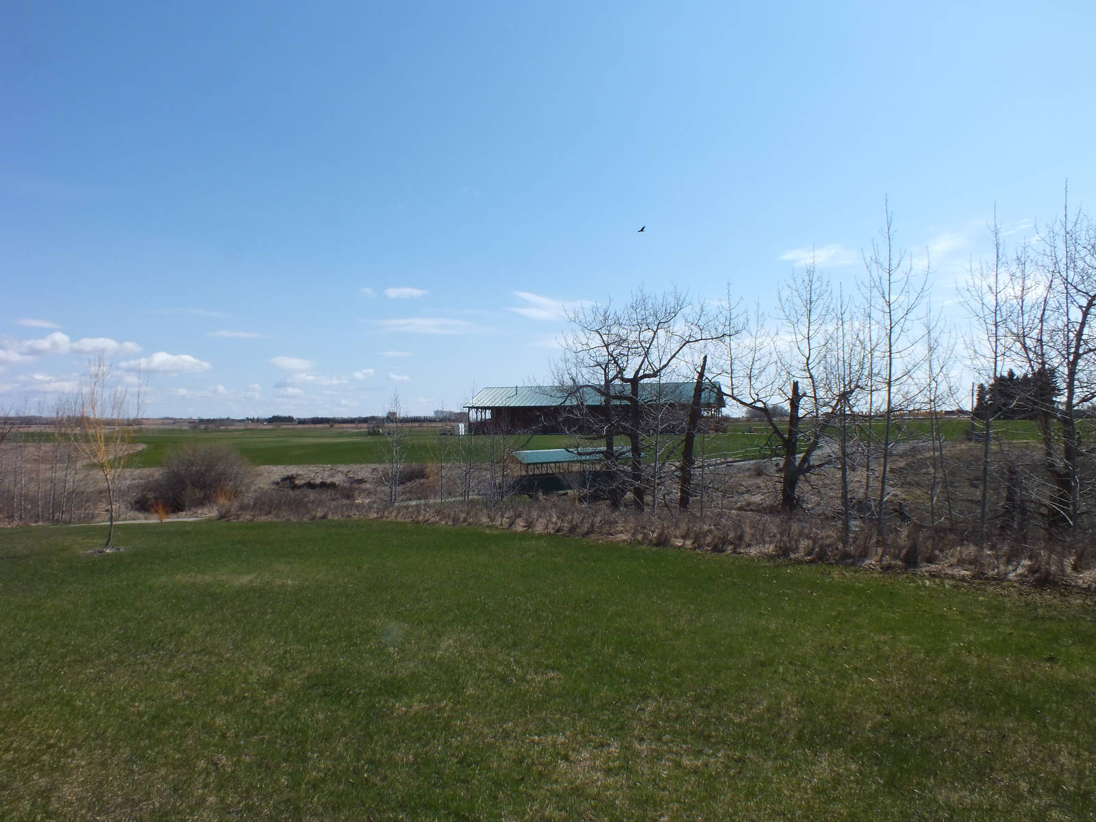 Discovery Wildlife Park,view from parking lot