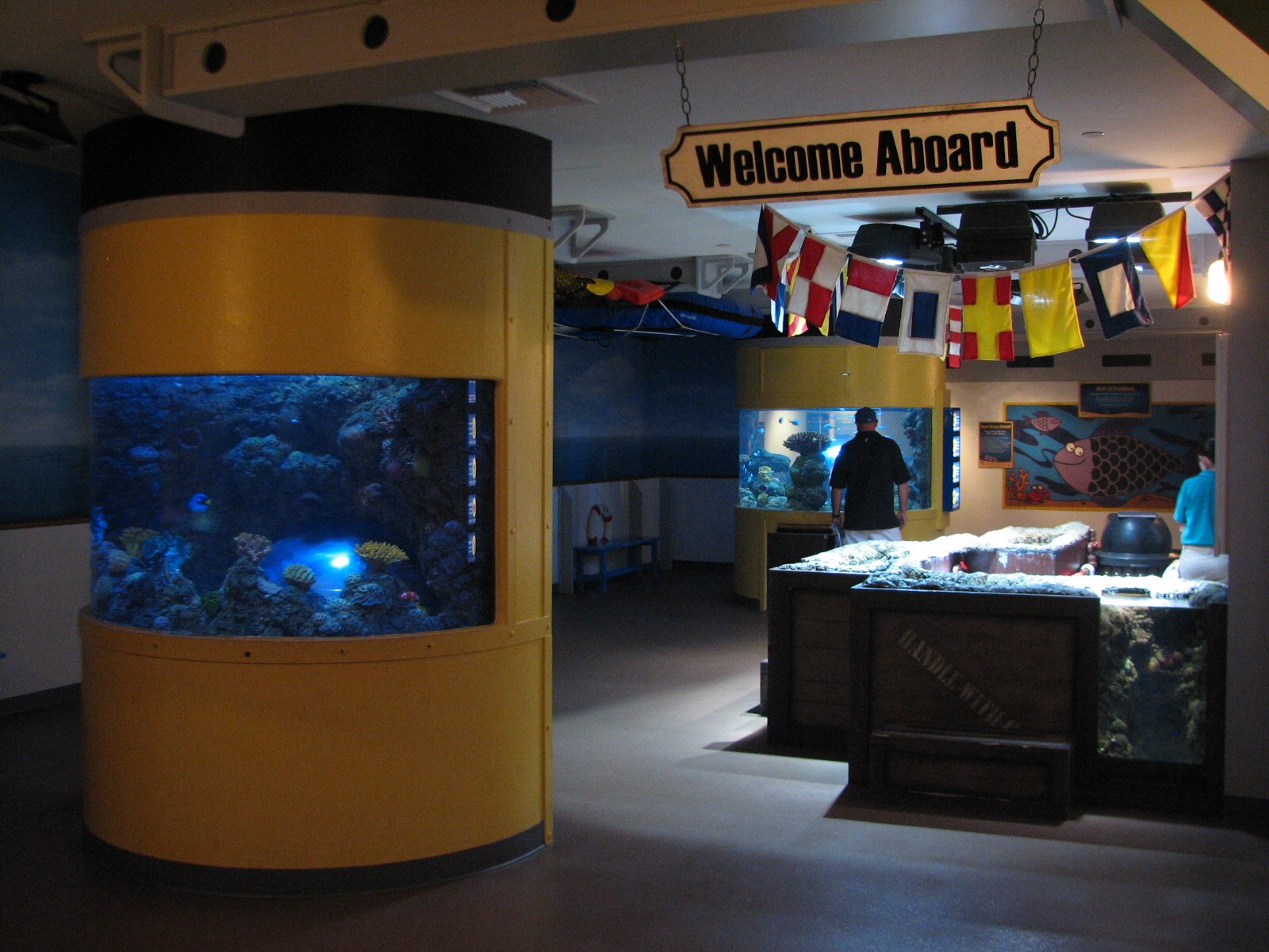 Discovery Zone Touch Pool - Entry