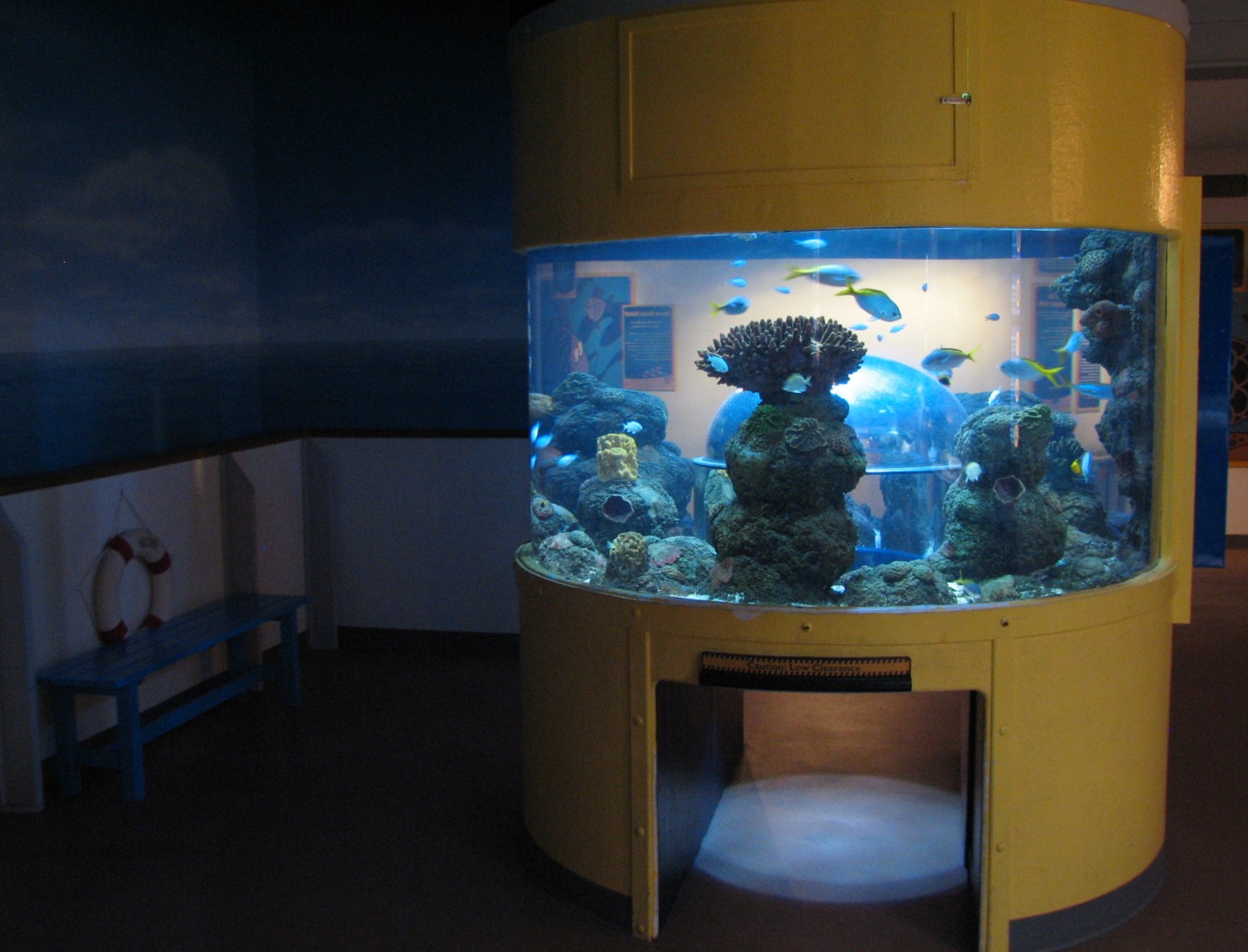 Discovery Zone Touch Pool - Pop-up Bubble Tank