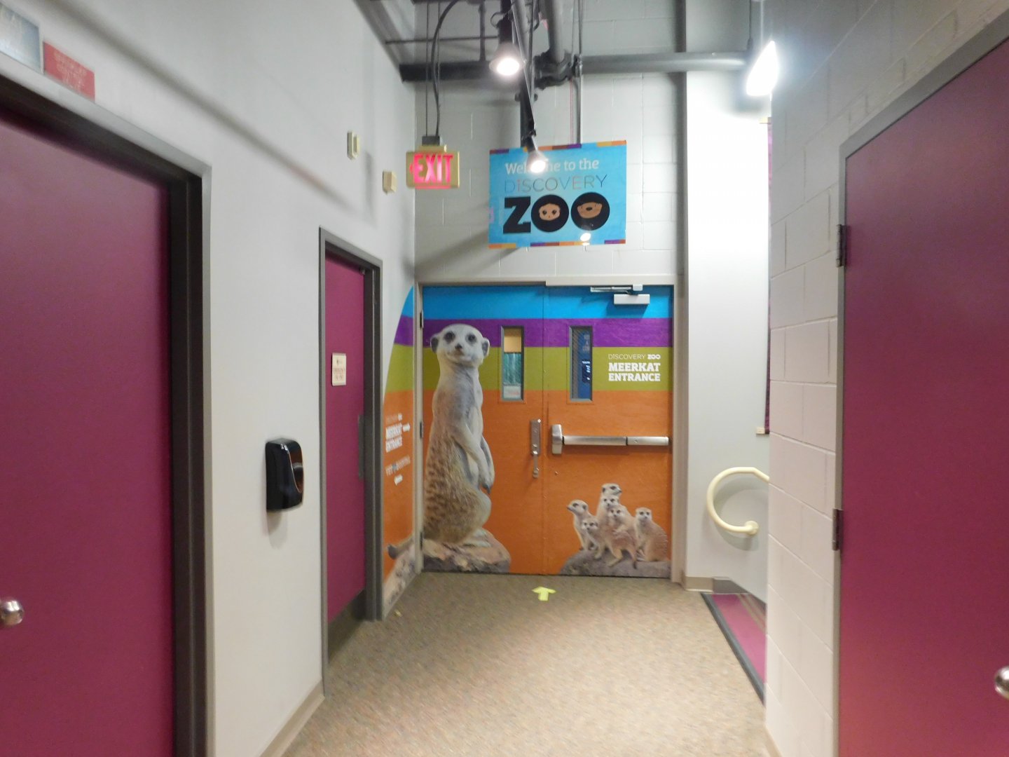 Discovery Zoo - Meerkat Entrance - Sep. 2020