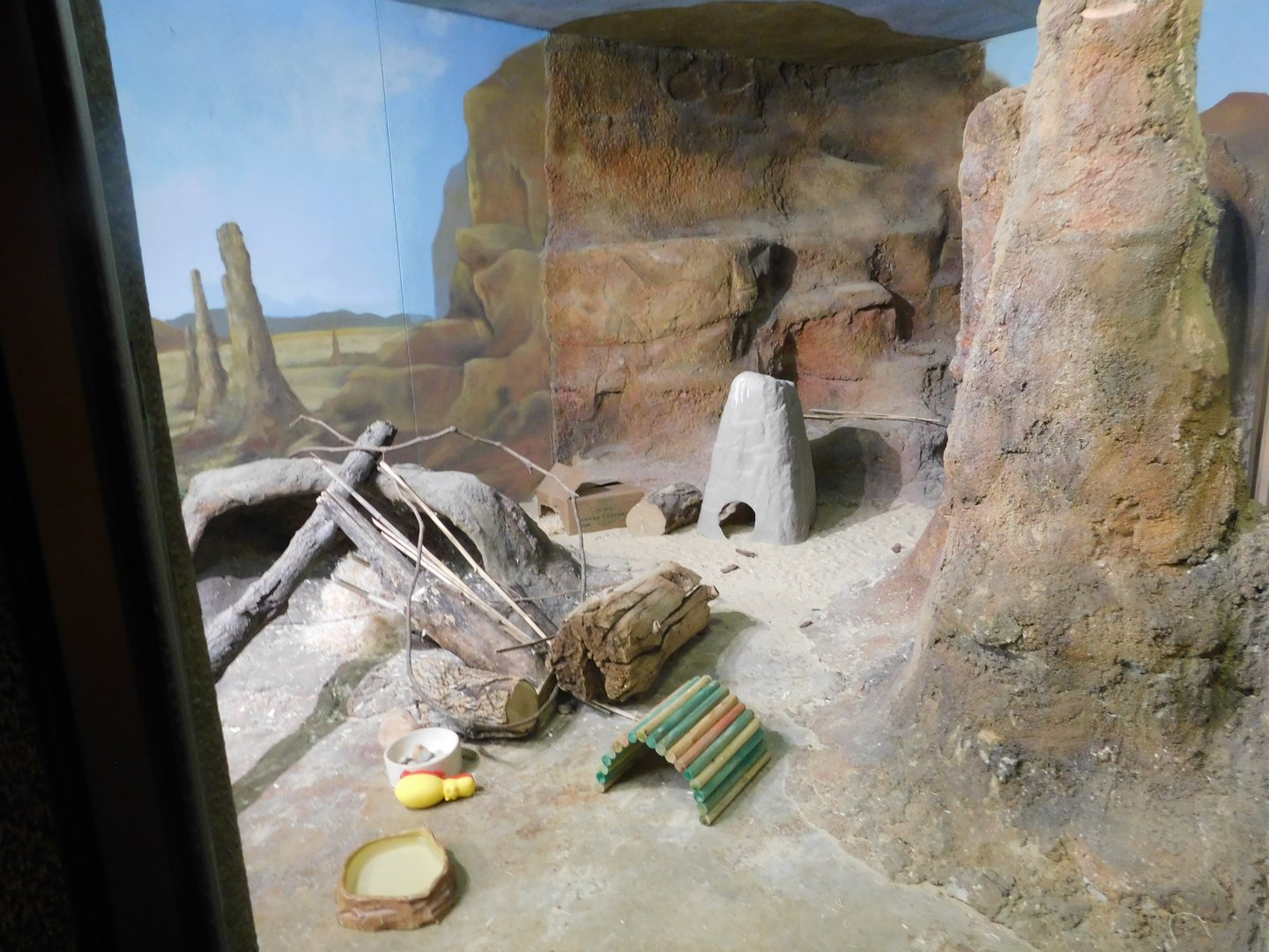 Discovery Zoo -Meerkat Exhibit  - Sep. 2020