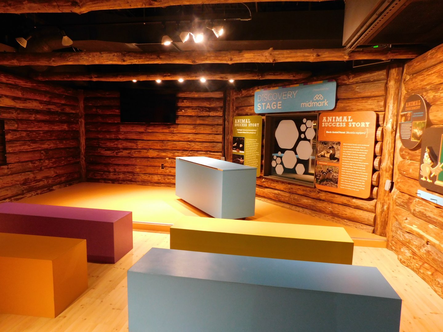 Discovery Zoo Stage - Sep. 2020