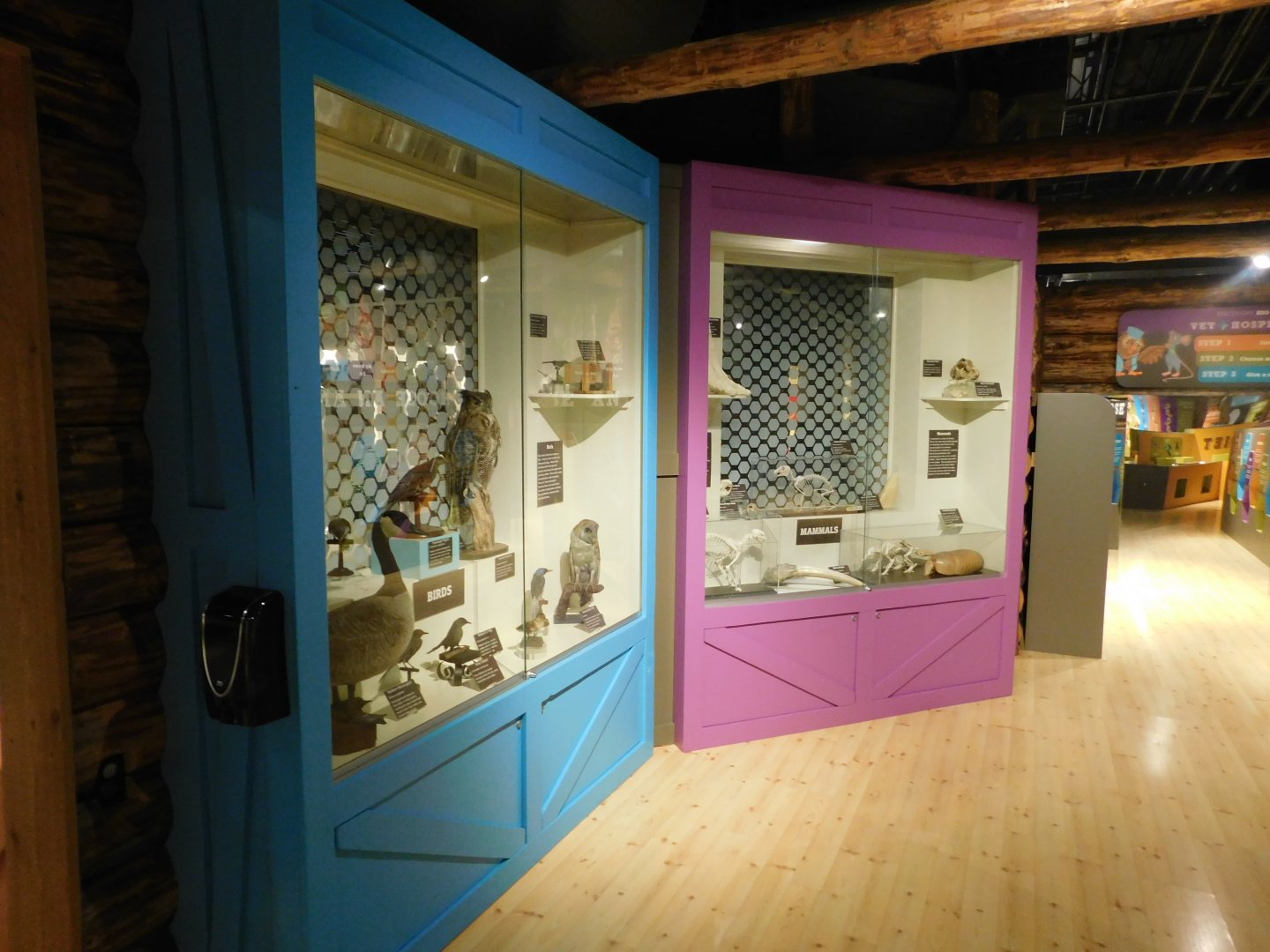 Discovery Zoo Stage - Sep.2020