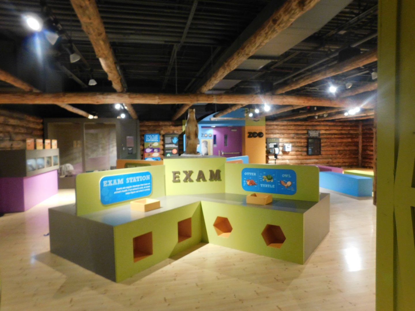 Discovery Zoo Stage - Sep. 2020