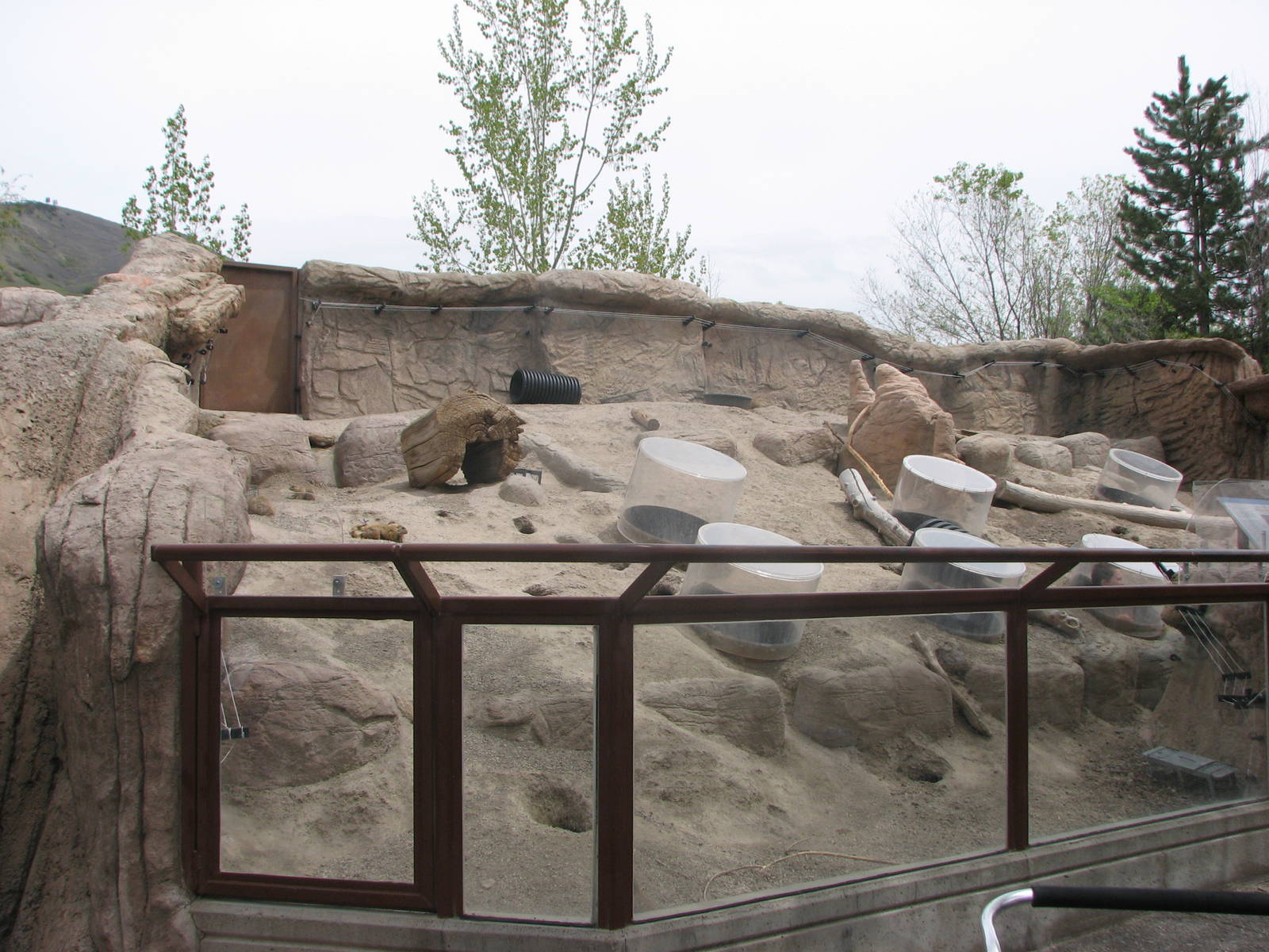 Discoveryland Knoll and Burrow - Black-tailed Prairie-dog Exhibit