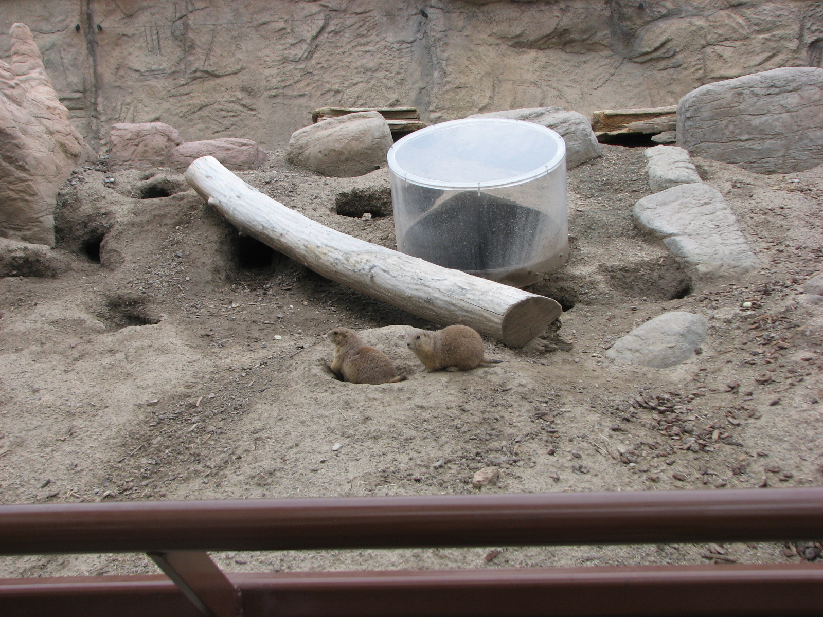 Discoveryland - Knoll and Burrow