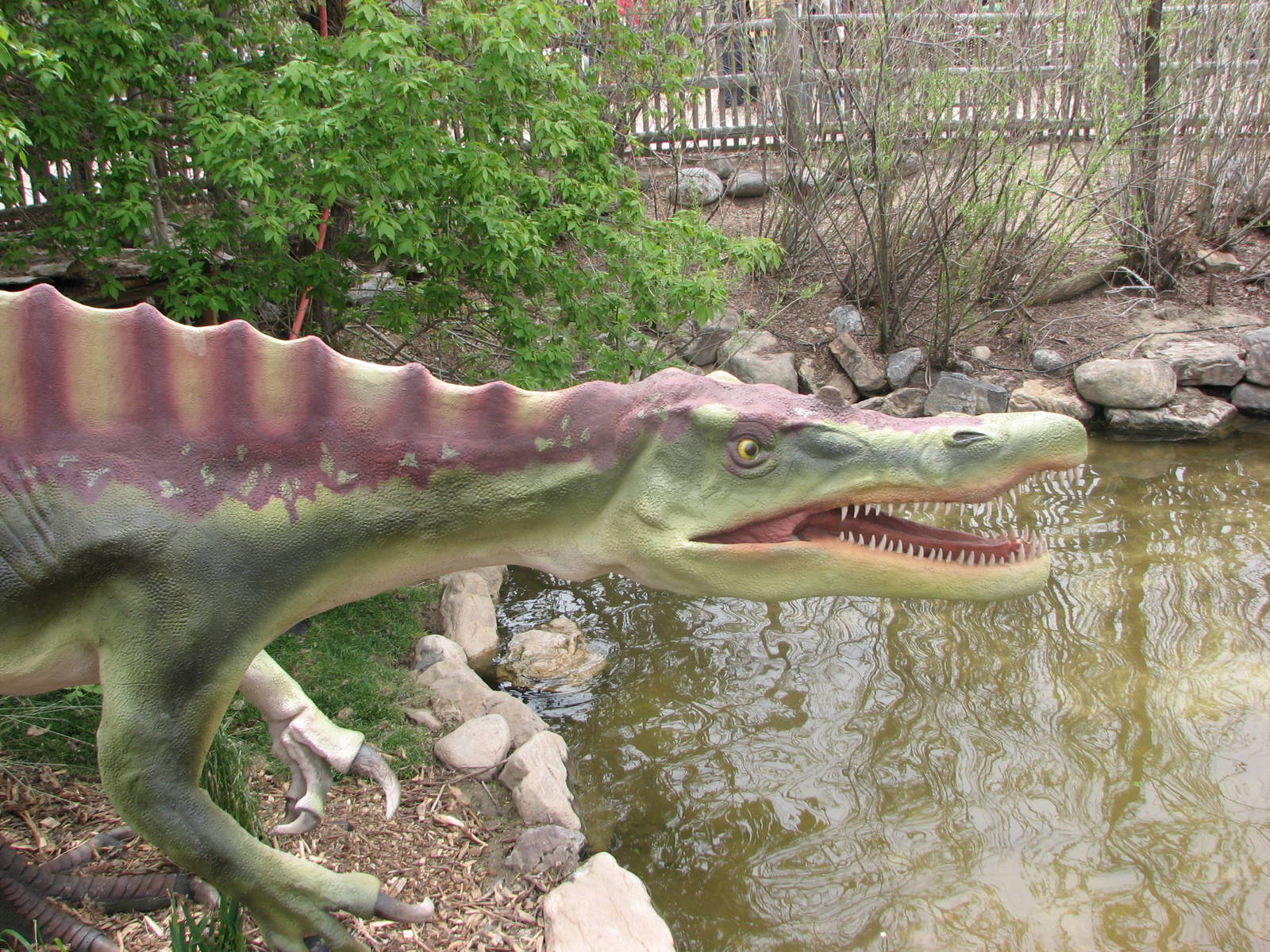 Discoveryland Marsh - Zoorassic Park