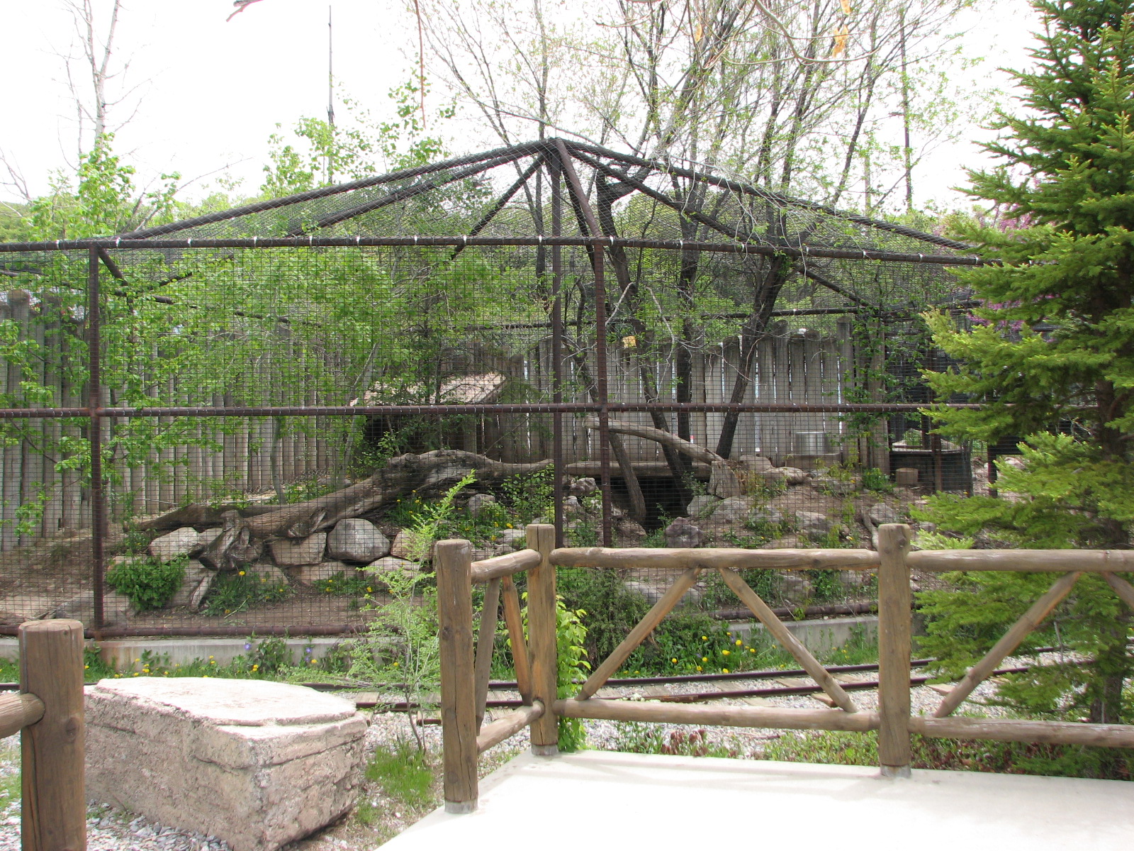 Discoveryland - Woodland Edge