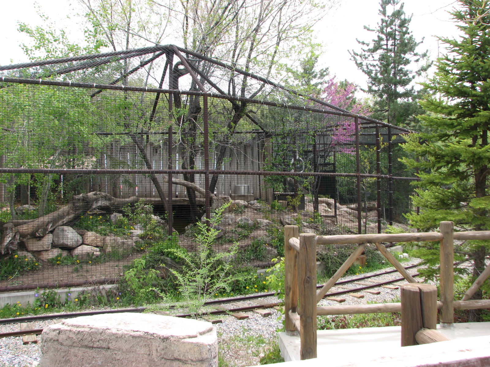 Discoveryland - Woodland Edge