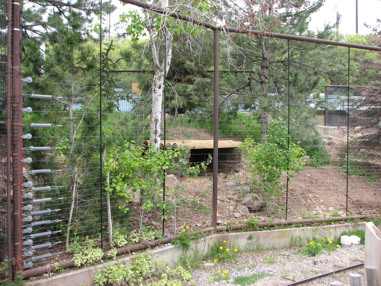 Discoveryland - Woodland Edge