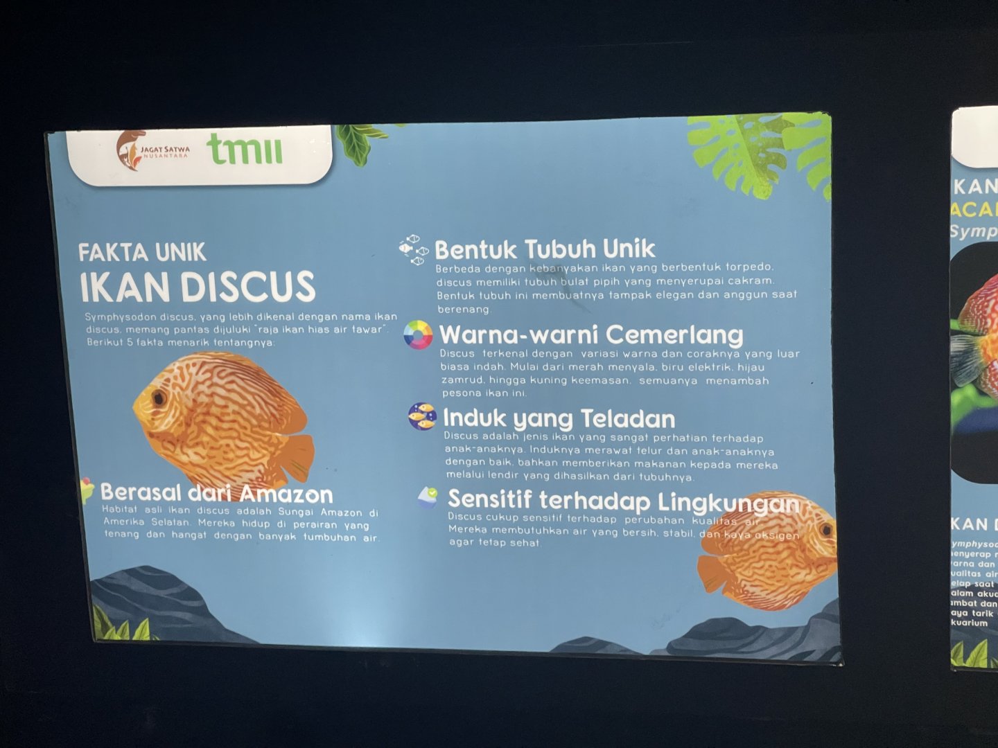 discus signage (2) - dunia air tawar