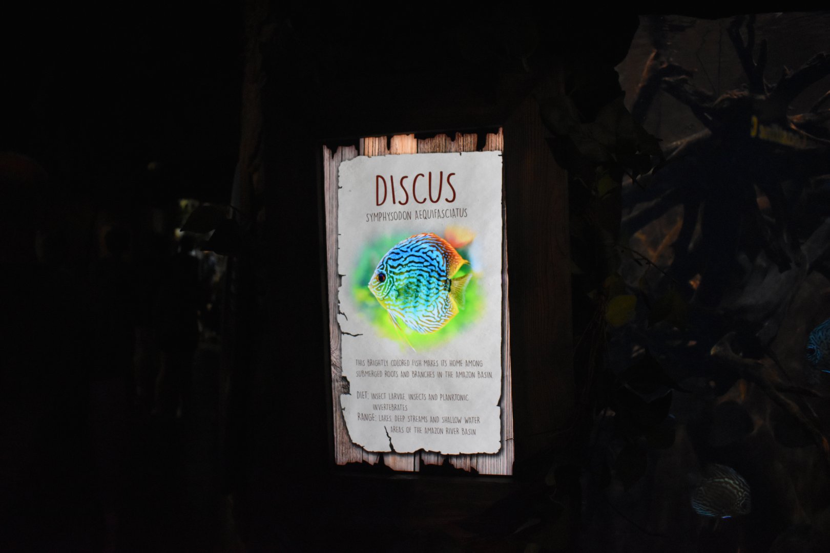 Discus Signage