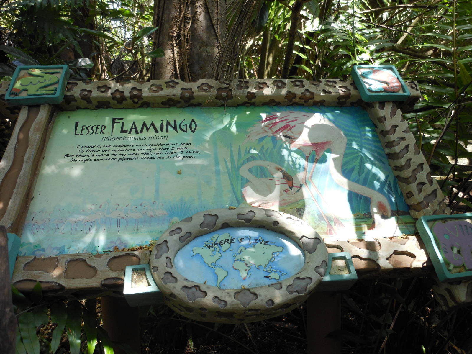 Disney's Animal Kingdom- Discovery Island- Lesser Flamingo Signage