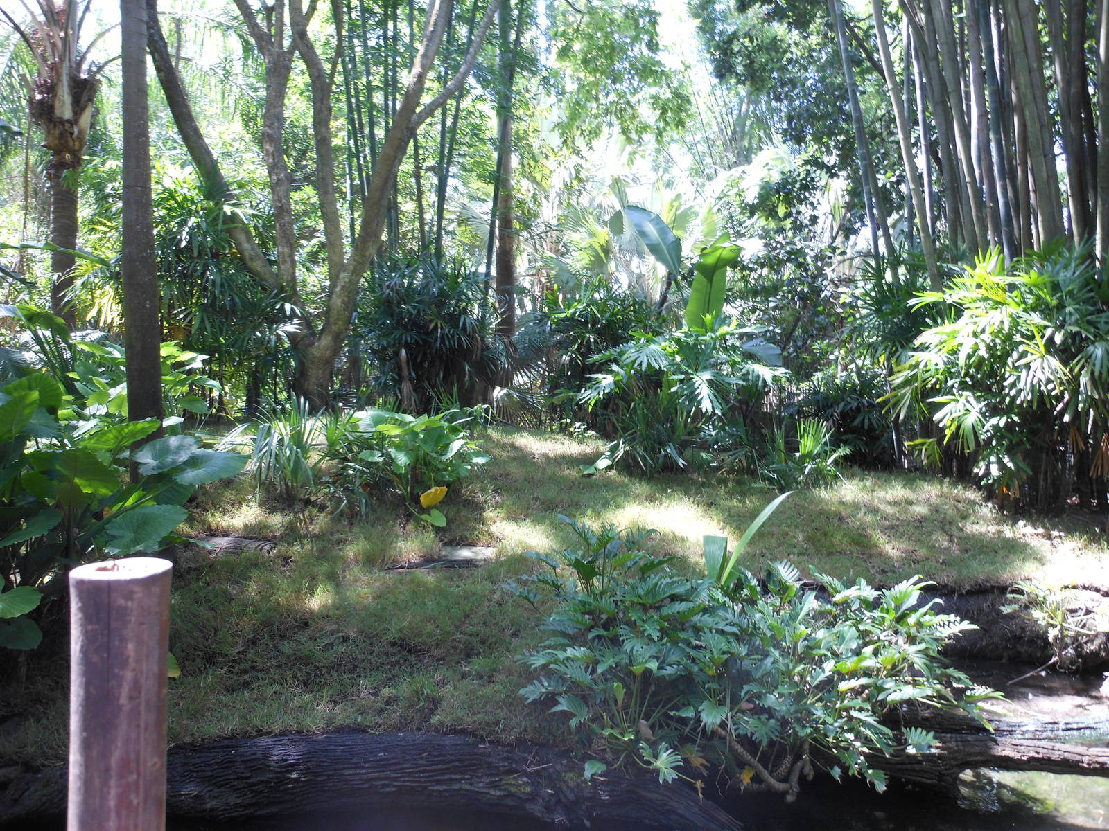 Disney's Animal Kingdom- Oasis- Exhibit