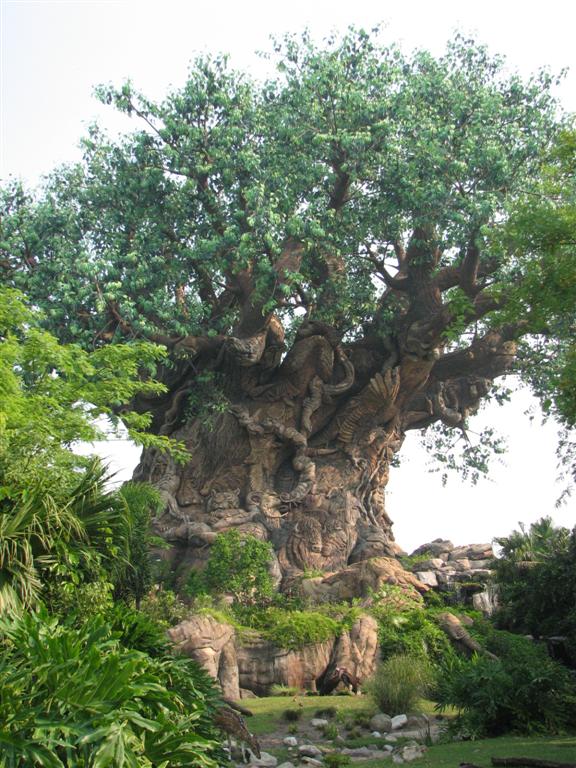 Disney's Animal Kingdom - Tree of Life