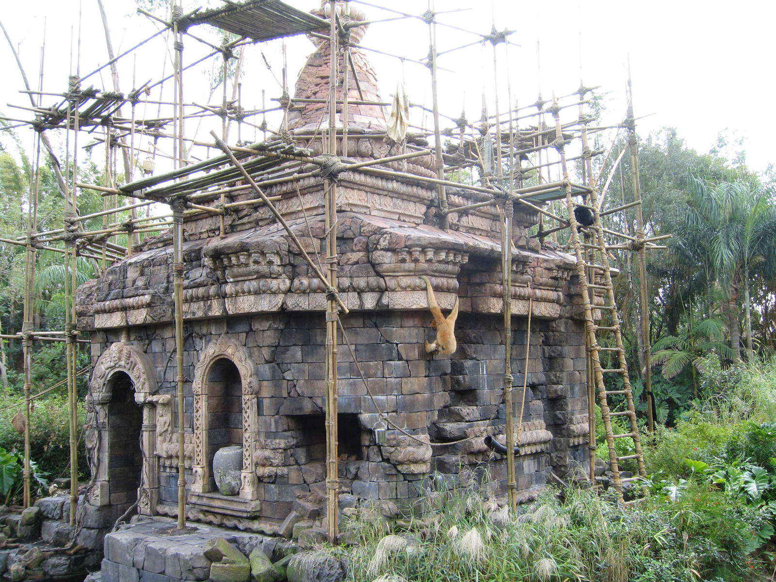 Disney's Animal Kingdom