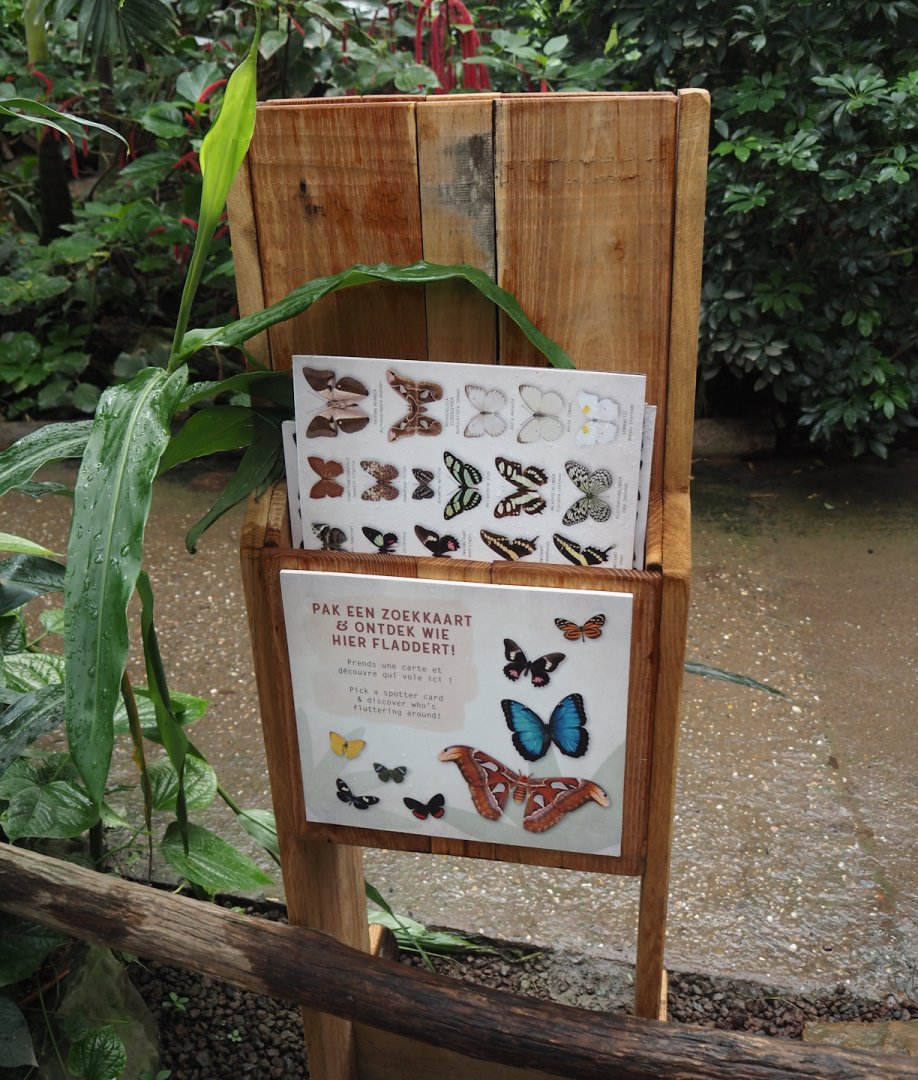 Dispenser for new butterfly search cards in the Orangutan greenhouse, 2025-07-12