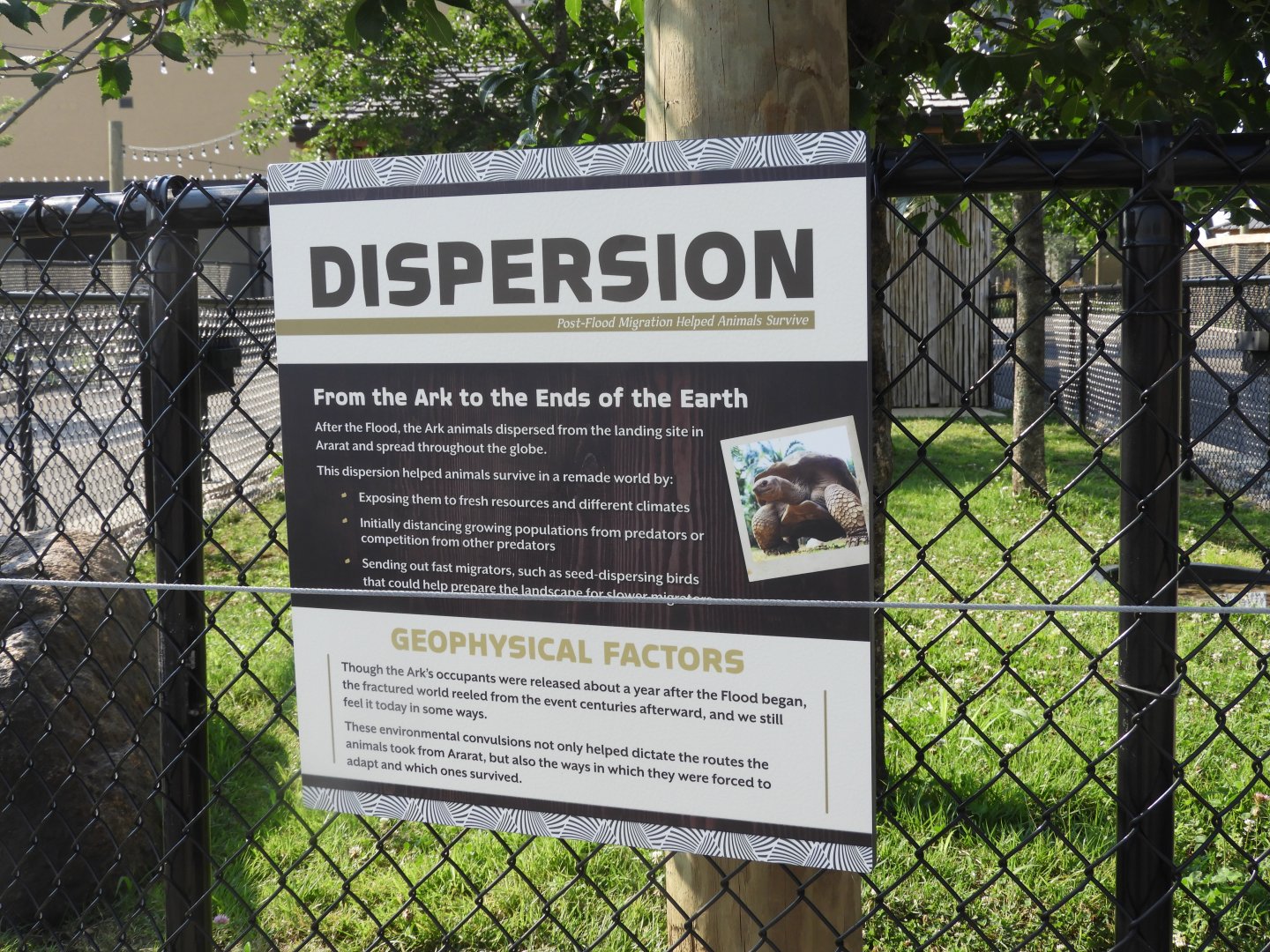 Dispersion Sign - tortoise