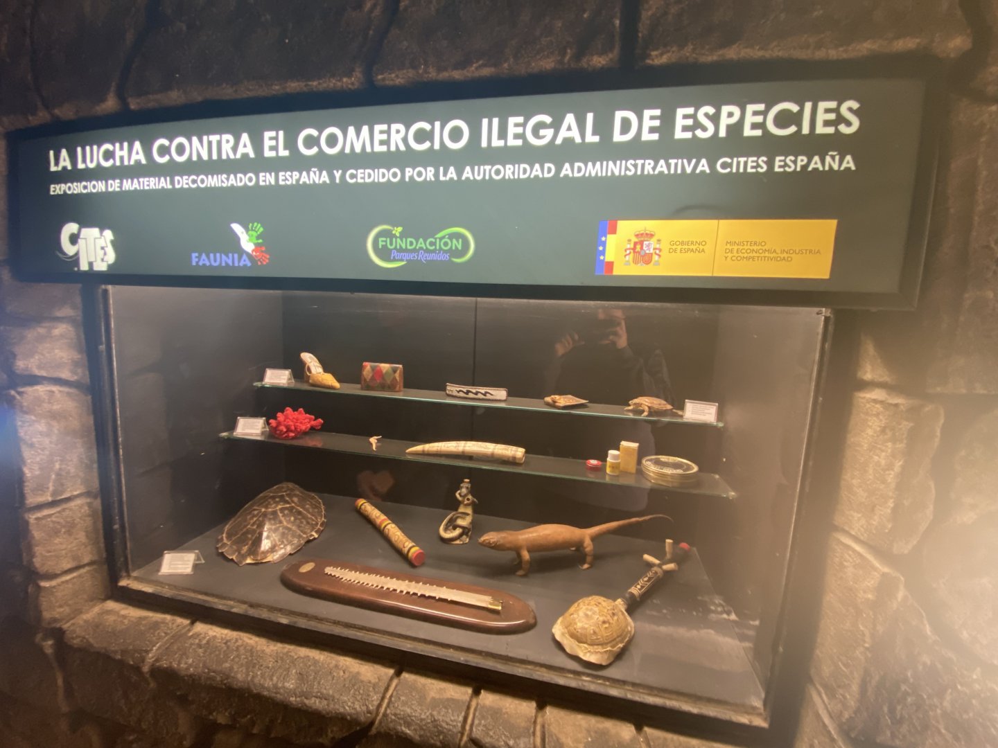 Display about illegal animal products