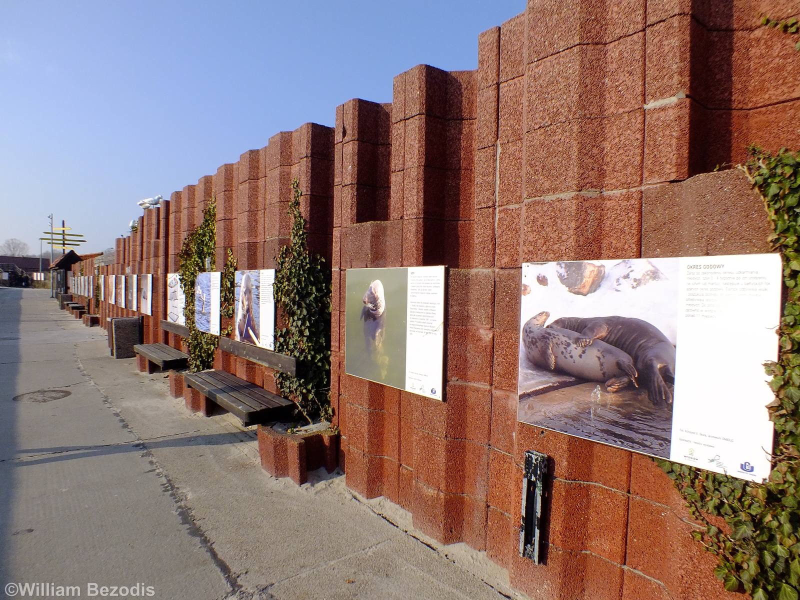 Display Along Outside Wall - Hel Fokarium