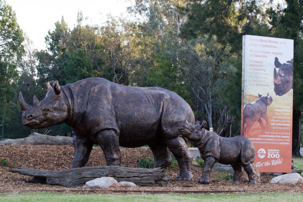 Display at the Entrance