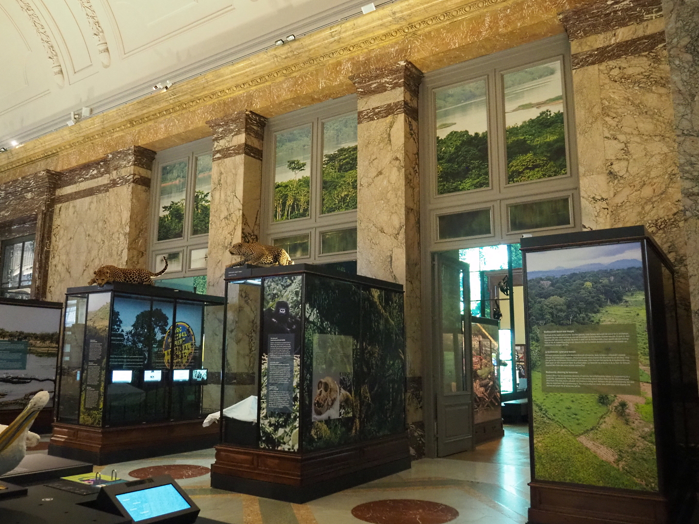 Display cases and accesses to the forest and mangrove section of the Landscapes and Biodiversity Hall, 2021-10-20