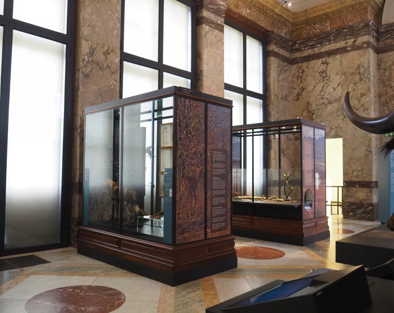 Display cases in the Landscapes and Biodiversity Hall, 2021-10-20