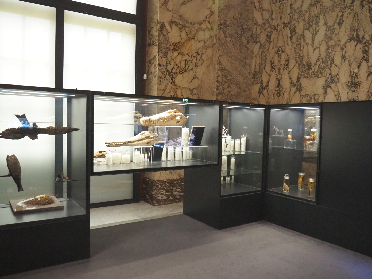 Display cases in the Taxolab, 2021-10-20