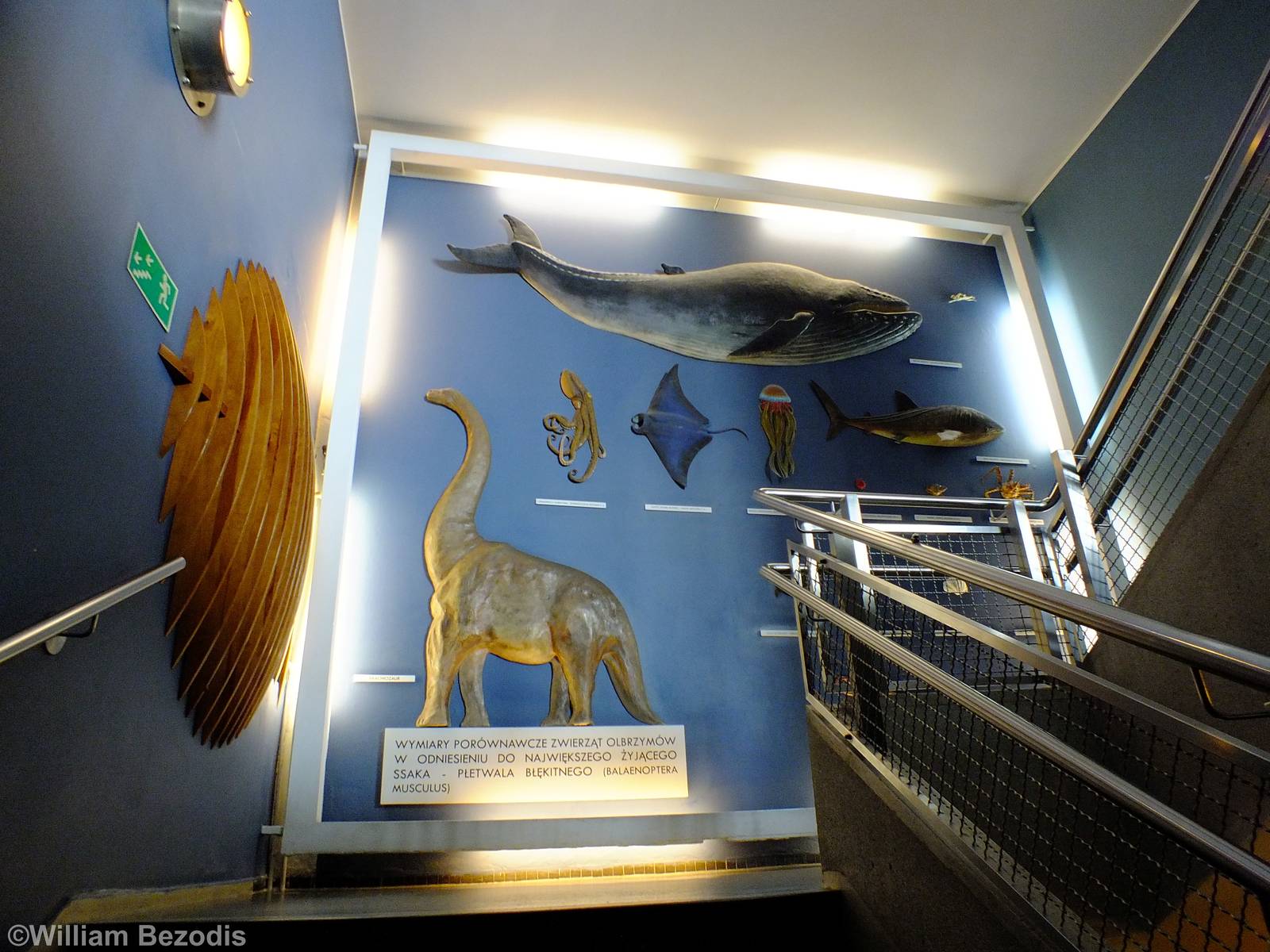 Display - Gdynia Aquarium