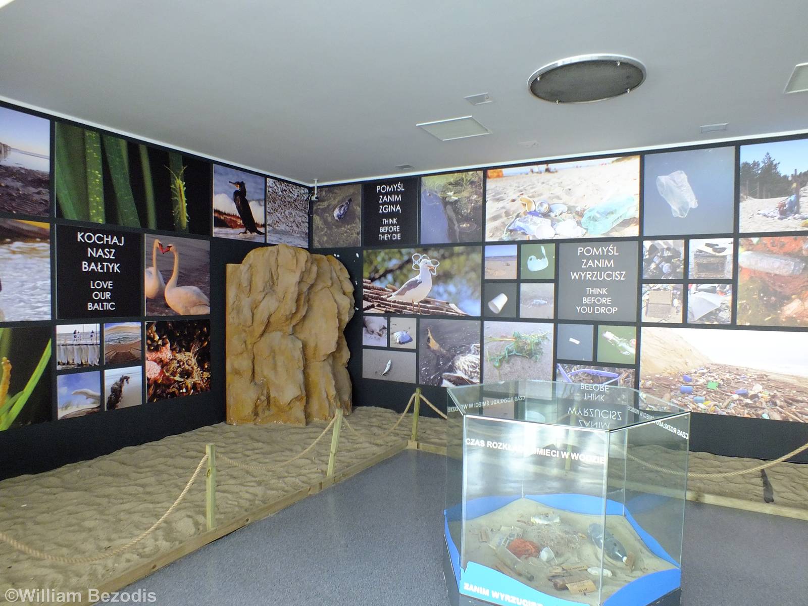 Display - Gdynia Aquarium