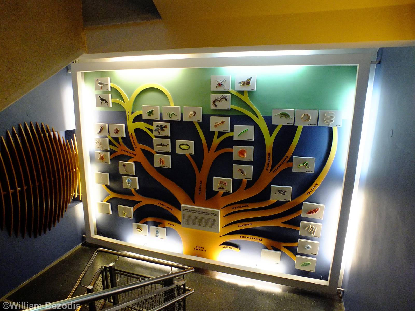 Display - Gdynia Aquarium