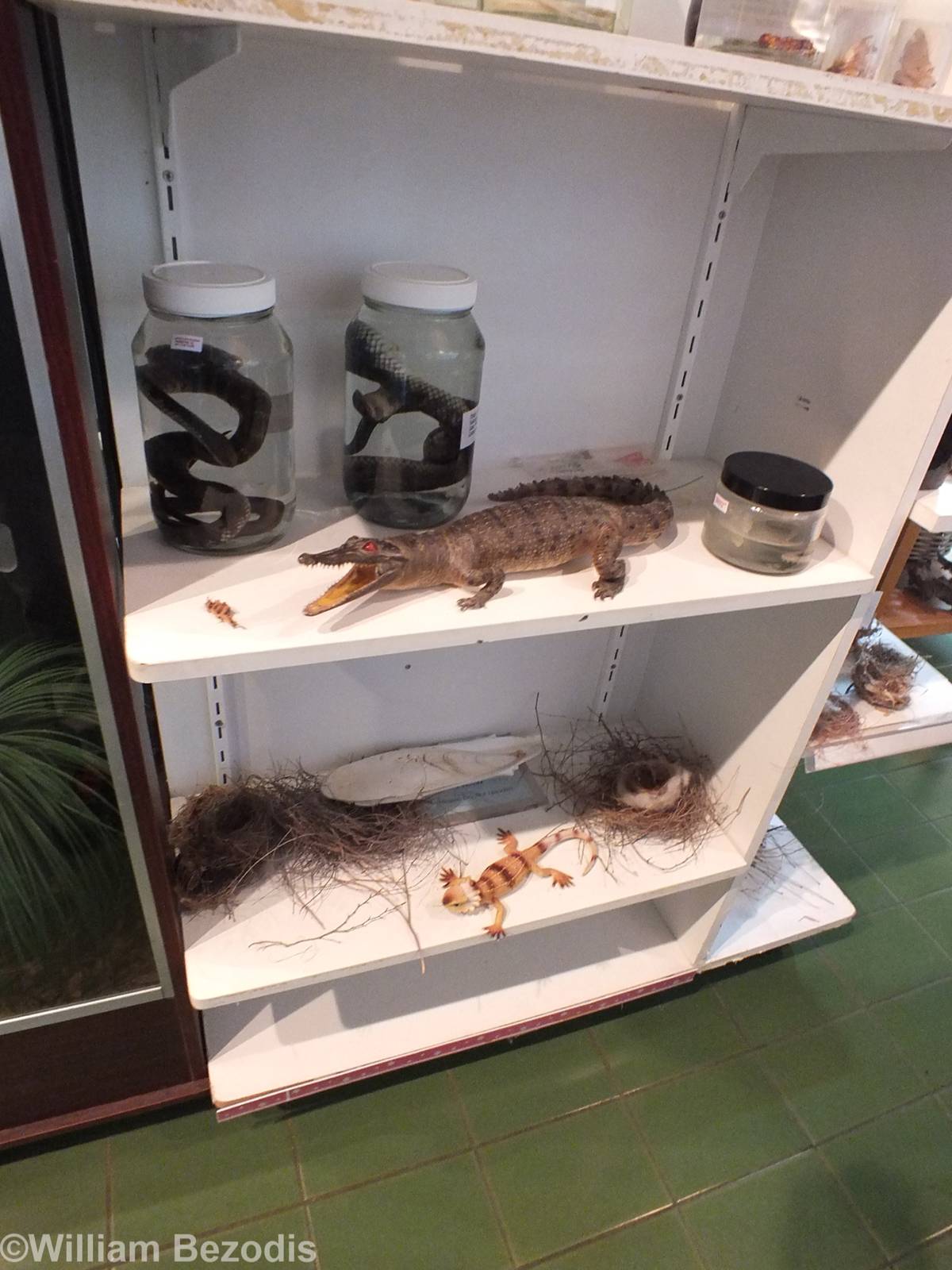 Display - Herdsman Lake Visitor Centre