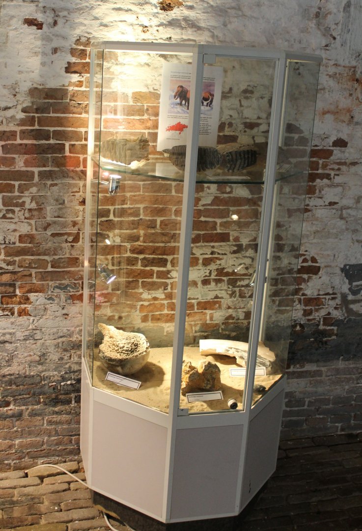 Display Mammoth-founds