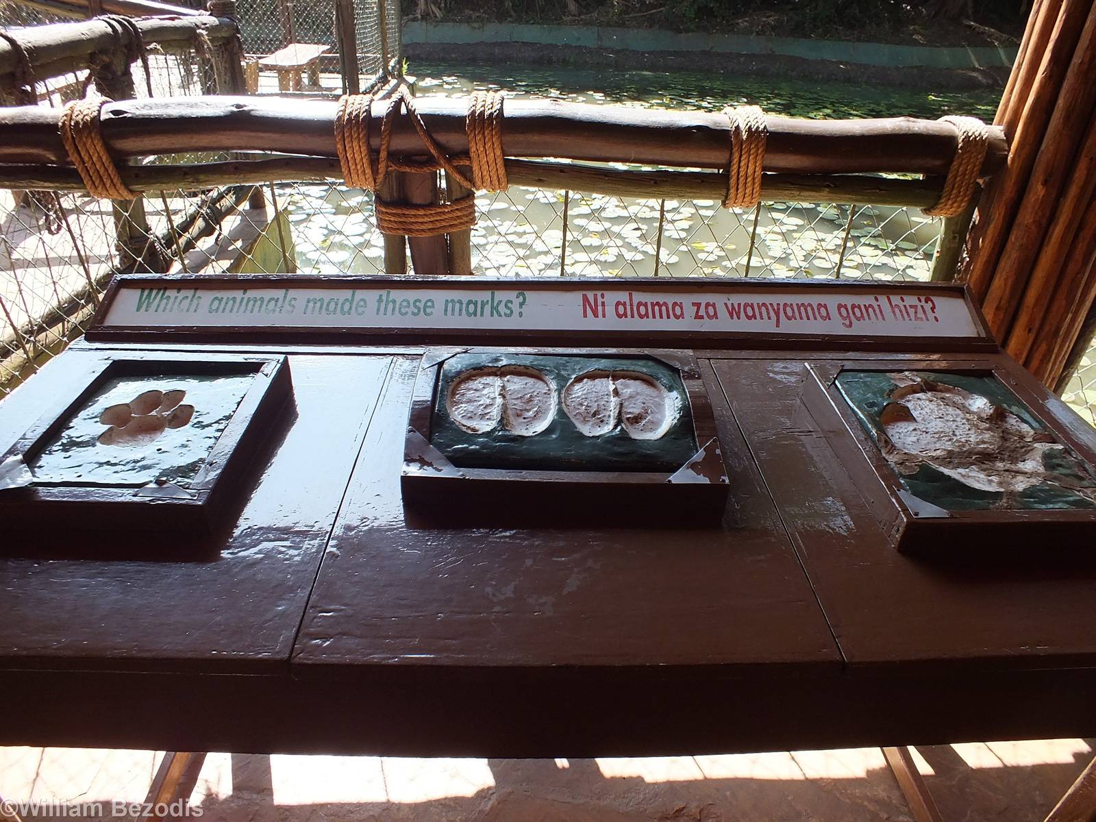 Display - Nairobi Safari Walk