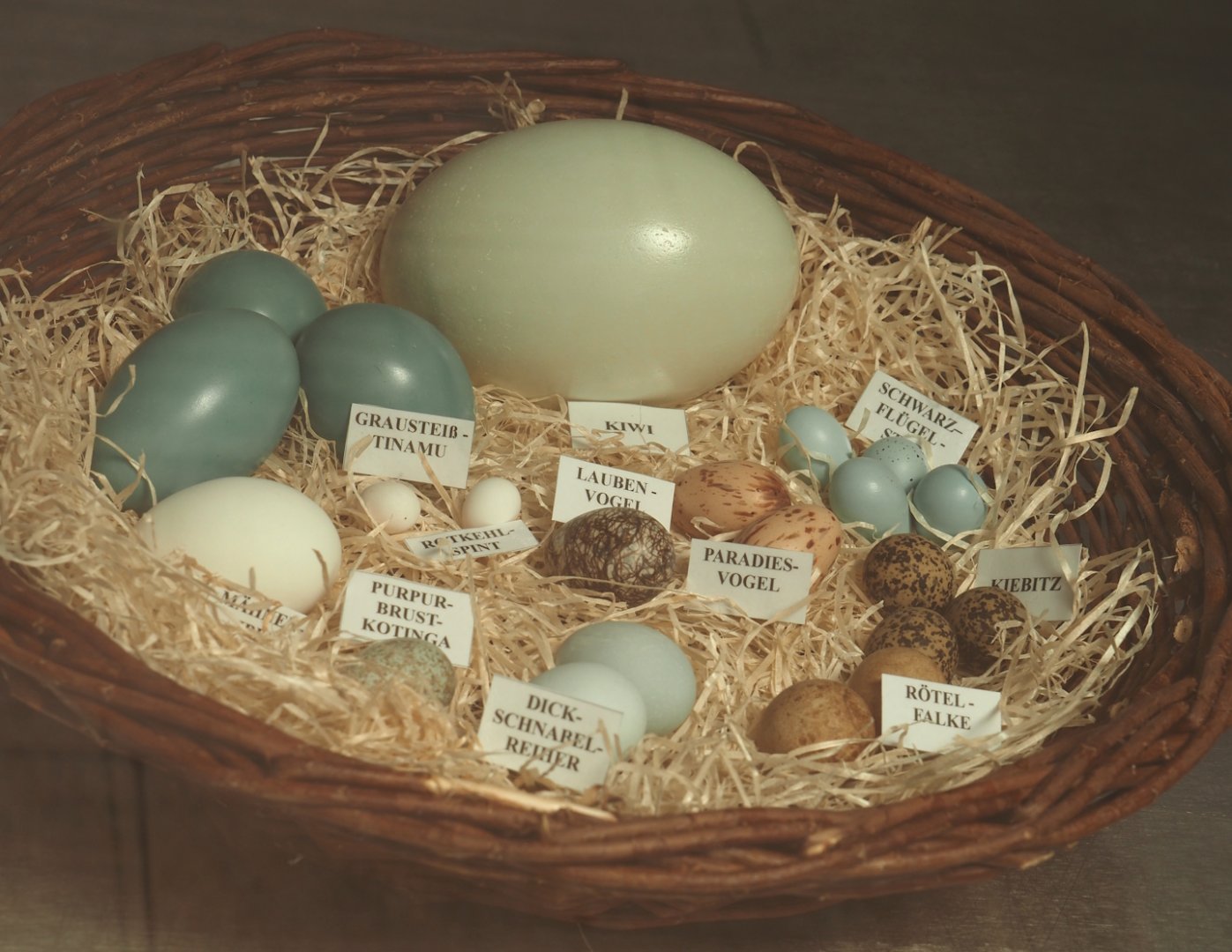 Display of eggs, 2024-05-21