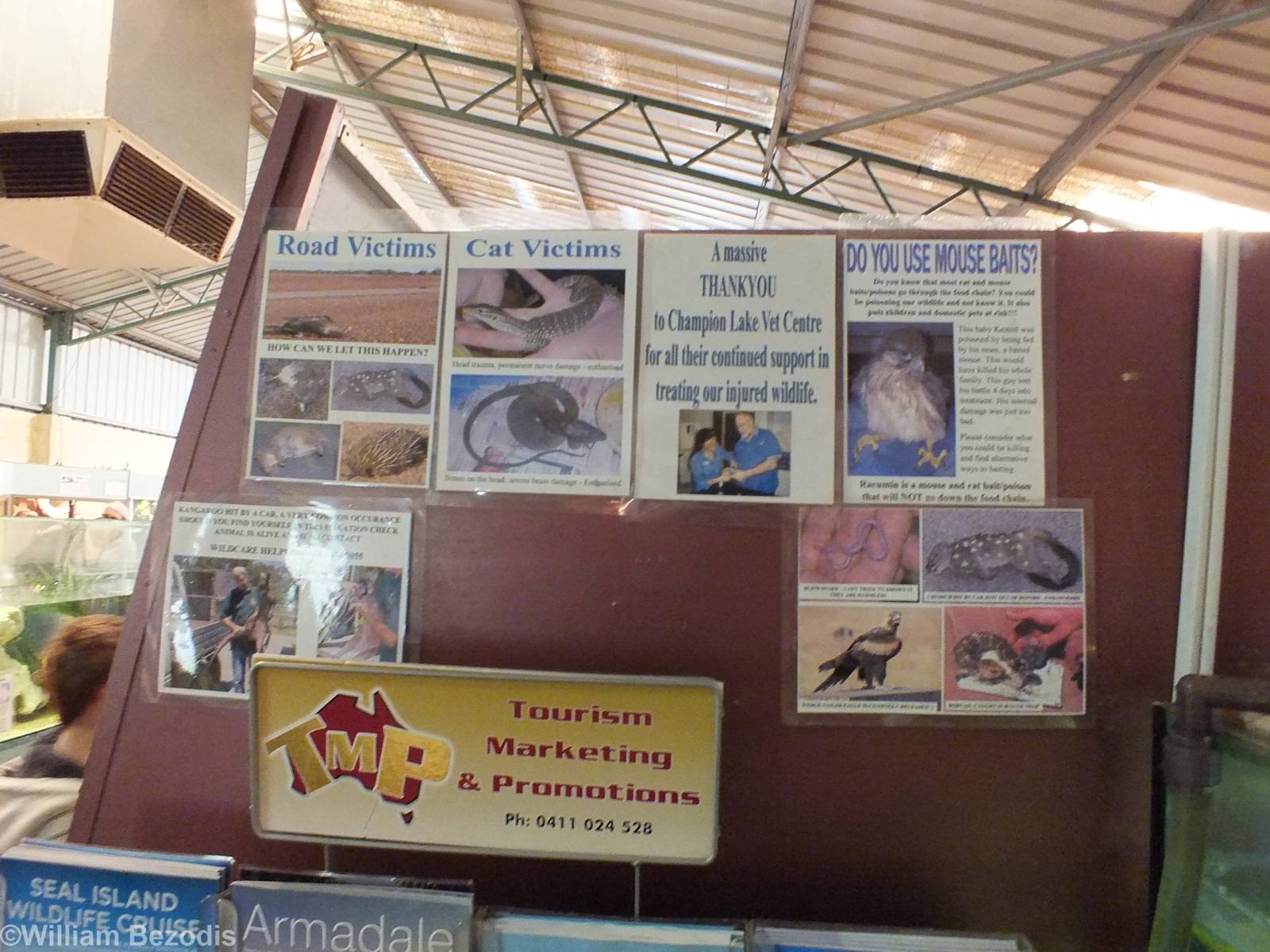 Display of Injured Animals