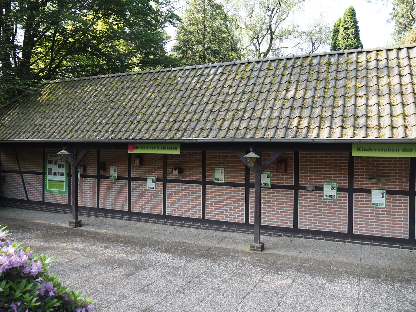 Display of nesting boxes and homes for birds and wildlife, 2024-05-24