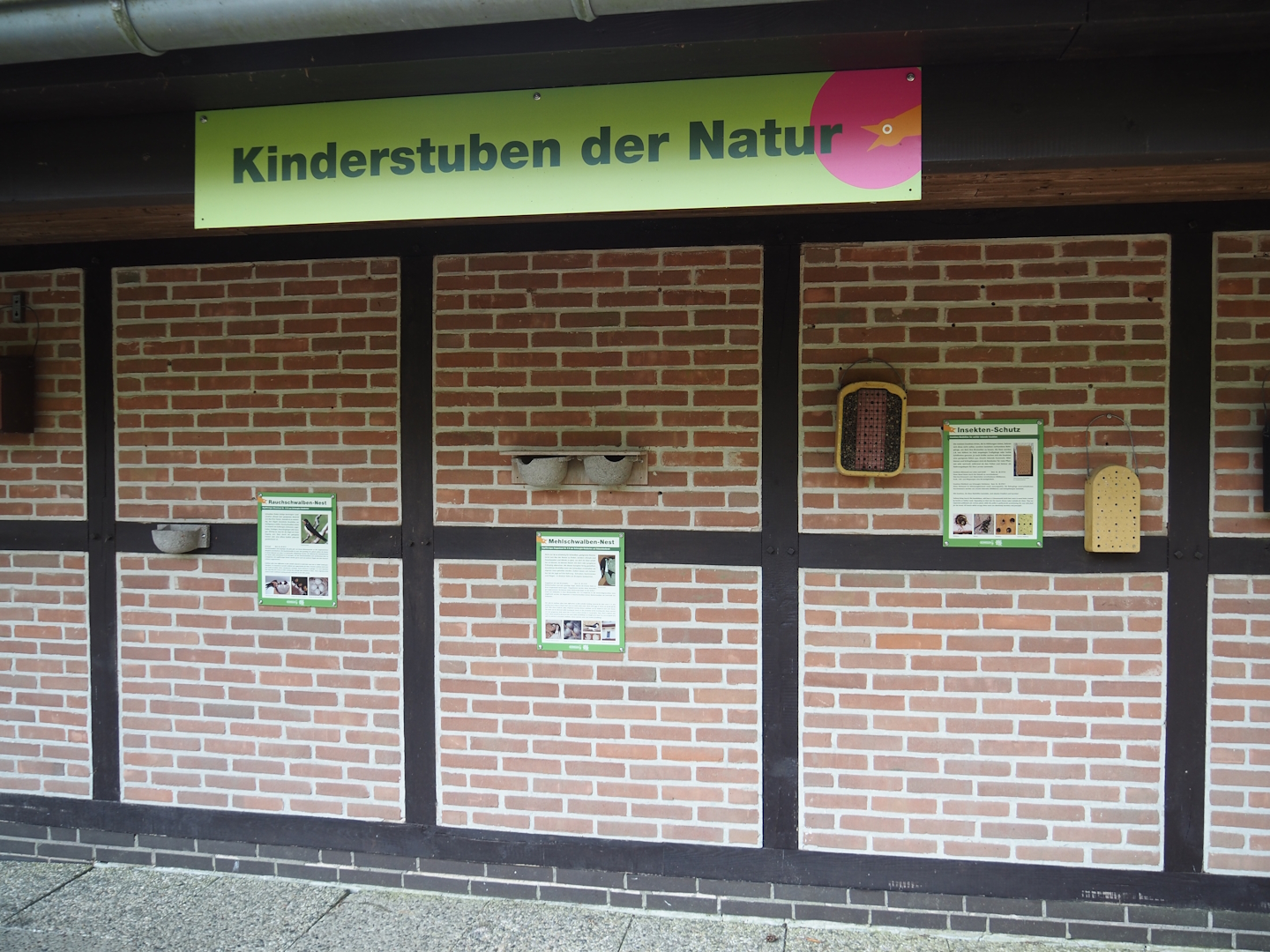 Display of nesting boxes and homes for birds and wildlife, 2024-05-24