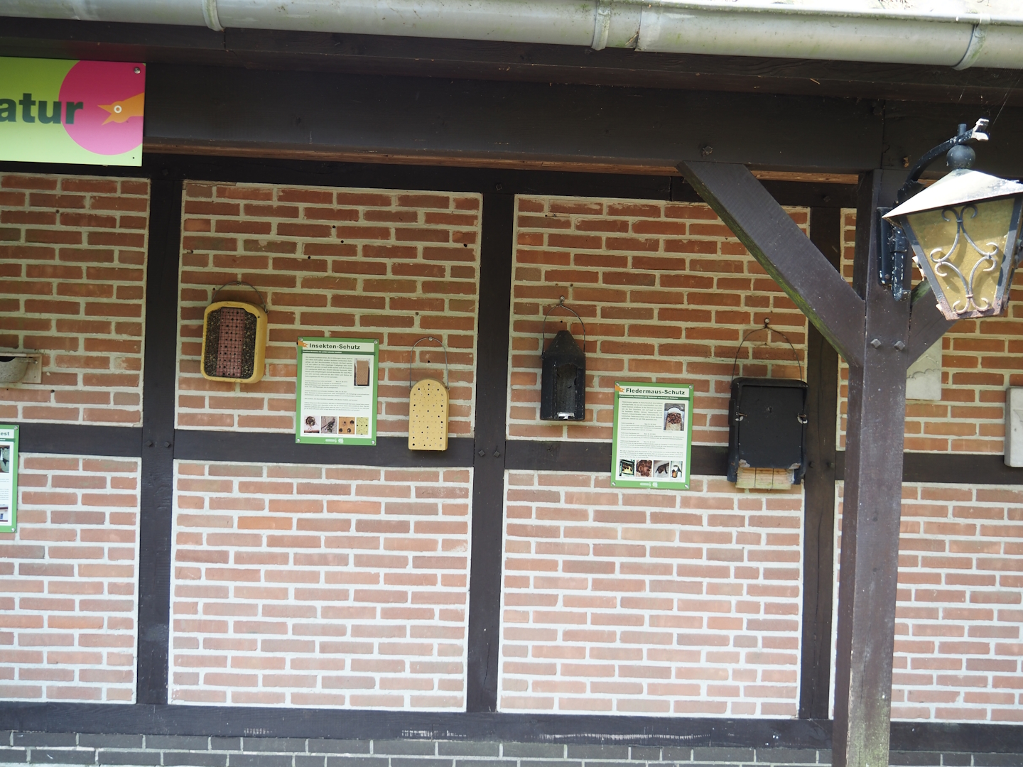 Display of nesting boxes and homes for birds and wildlife, 2024-05-24