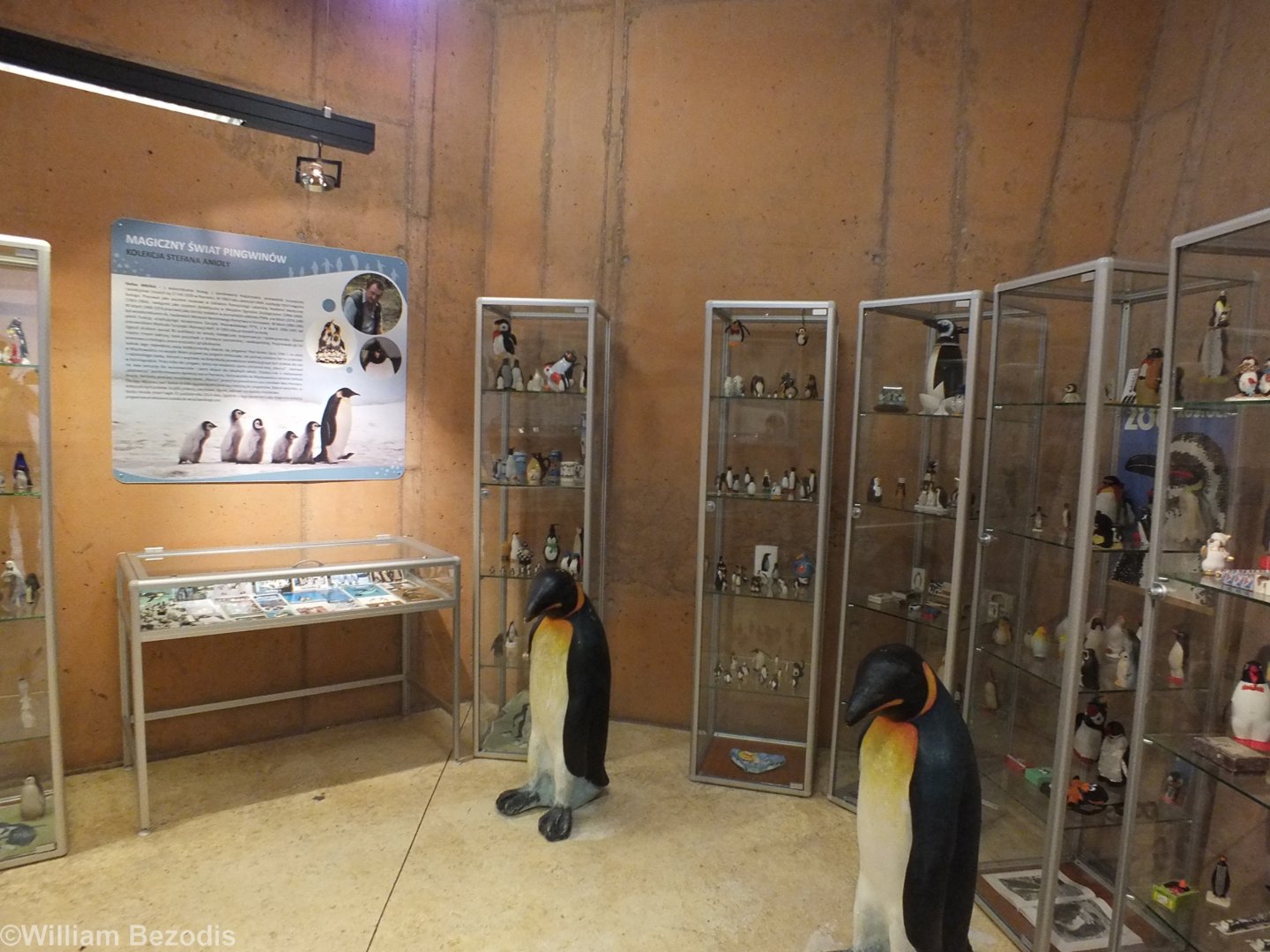 Display of Penguin Memorabilia - Afrykarium