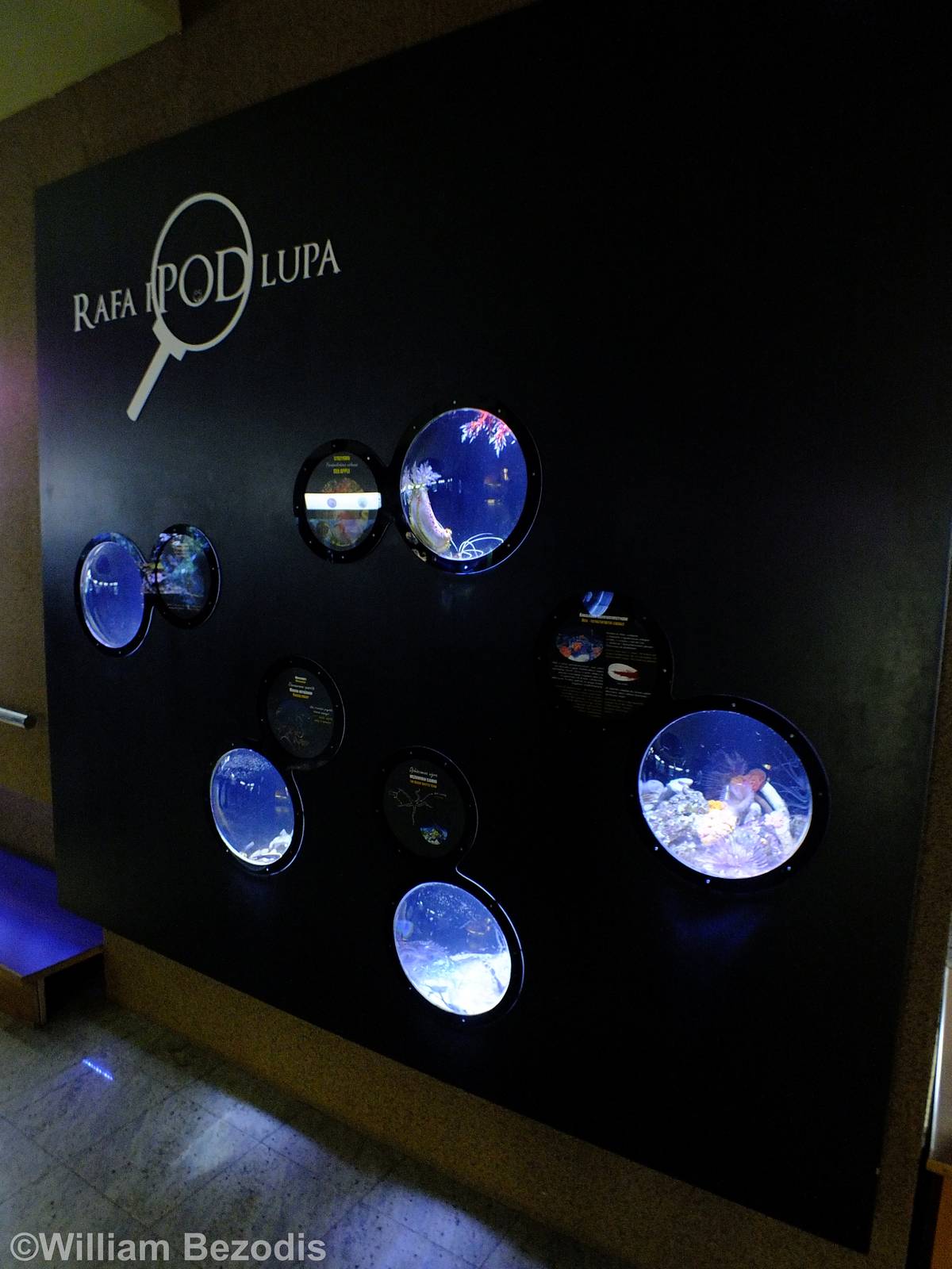 Display of Various Small Tanks - Gdynia Aquarium