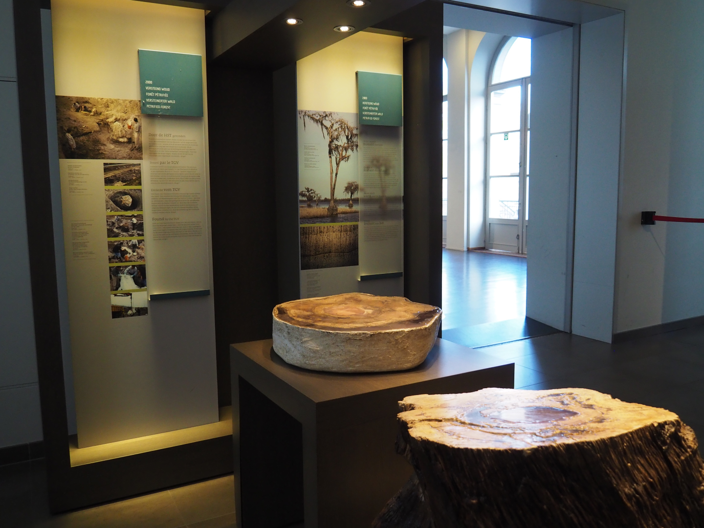 Display on and with petrified wood found in Flanders, 2019-12-03