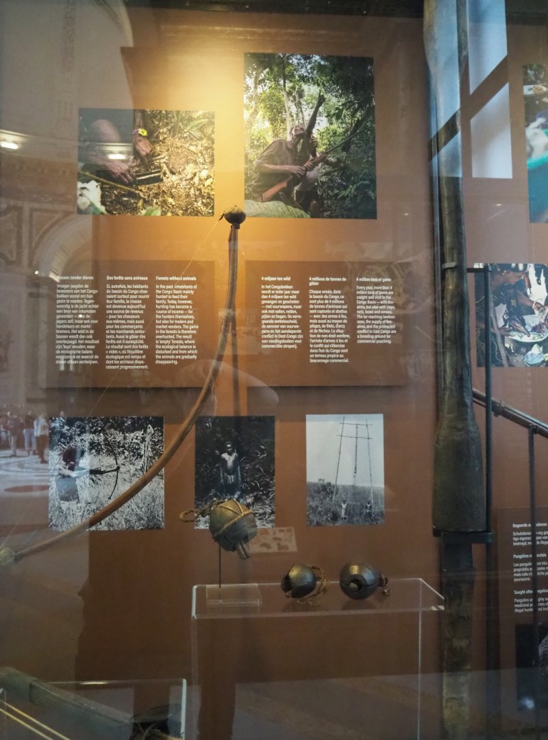 Display on bushmeat hunting, 2021-10-20