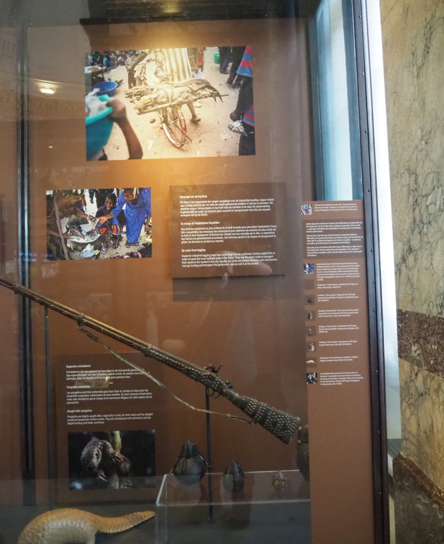 Display on bushmeat hunting, 2021-10-20