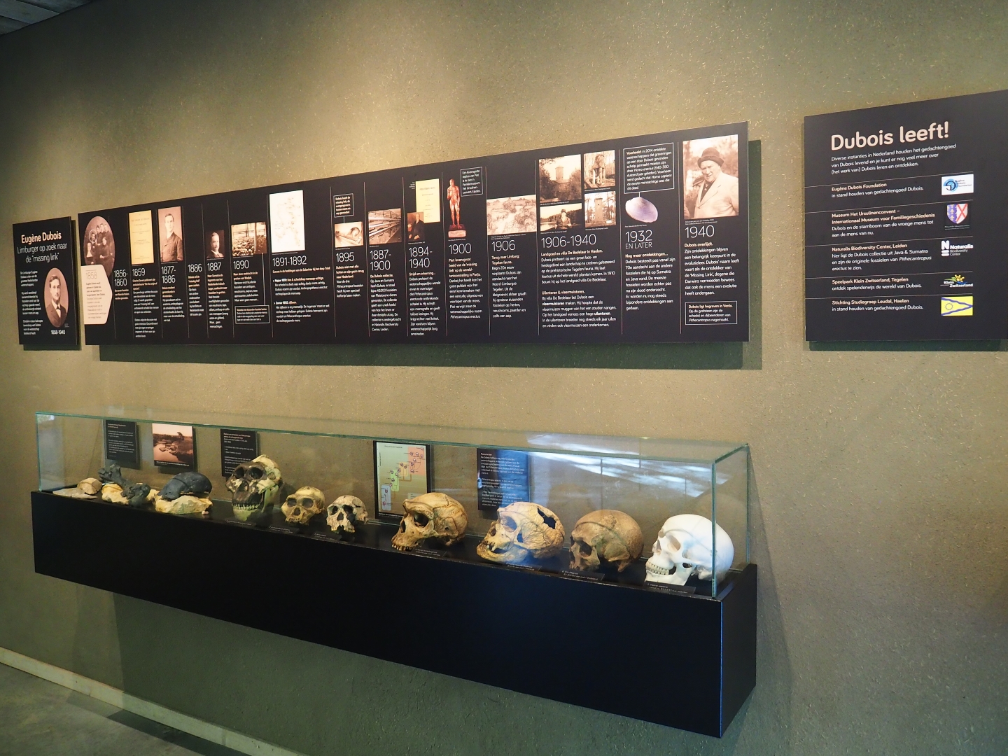 Display on hominids and Eugène Dubois (Oct 13th, 2018)
