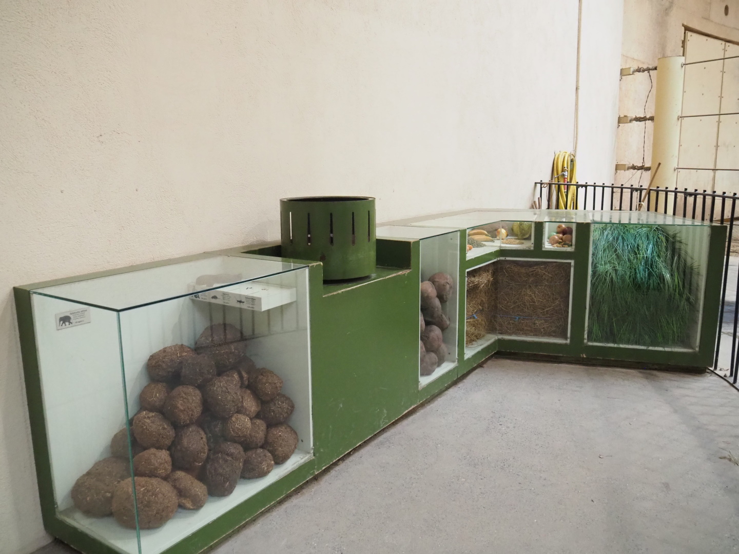 Display on how much elephants eat and poop per day, 2021-10-10