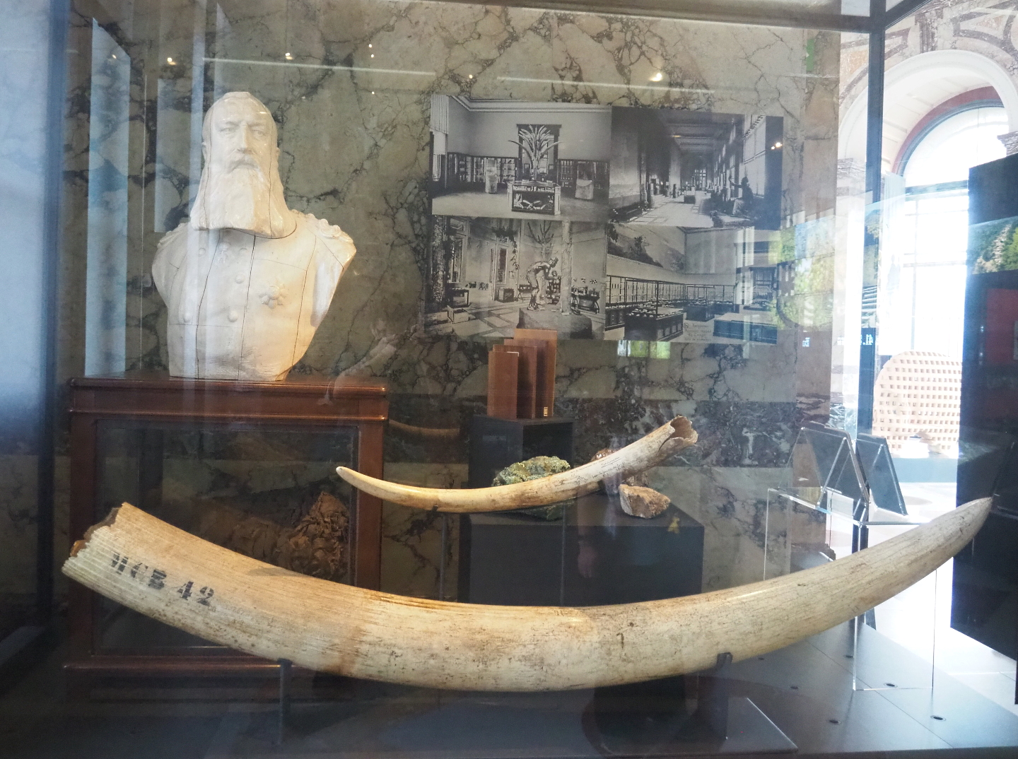 Display on ivory and mineral trade, with historical photos of the museum, 2021-10-20