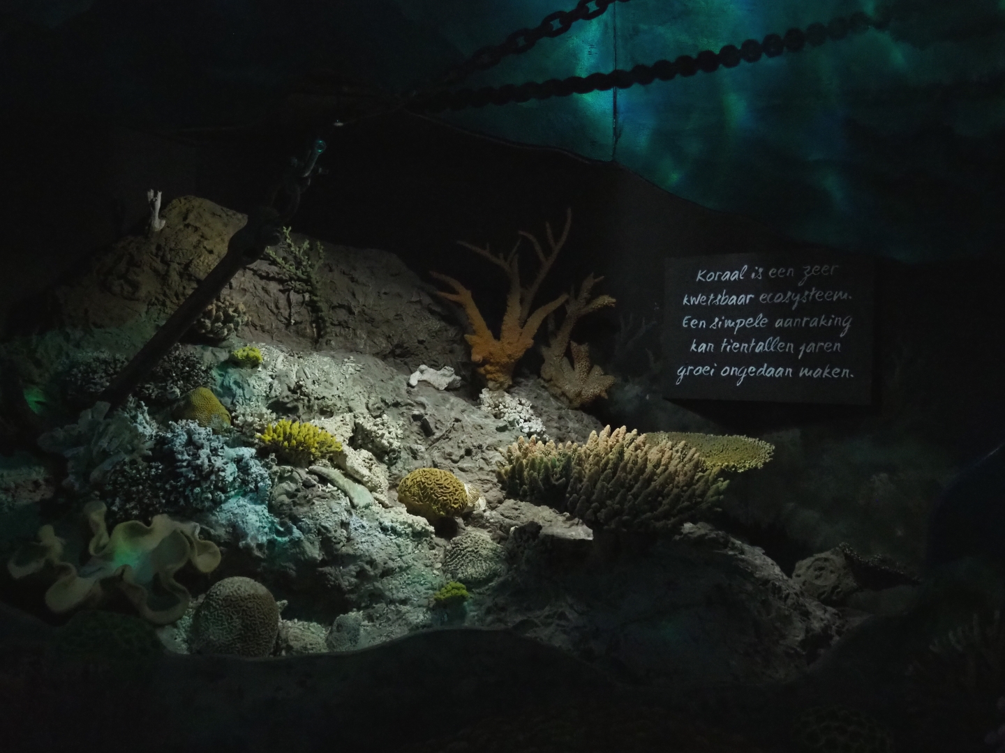 Display on the vulnerability of coral reefs (Nov 10th, 2018)